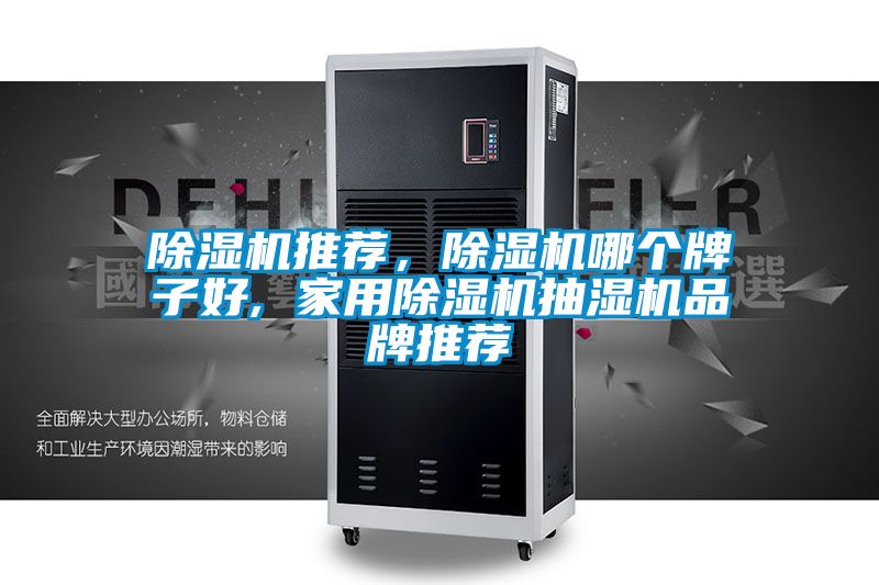 除濕機推薦，除濕機哪個牌子好, 家用除濕機抽濕機品牌推薦