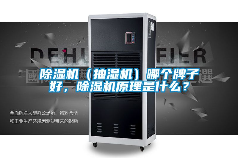 除濕機（抽濕機）哪個牌子好，除濕機原理是什么？