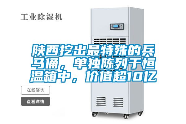 陜西挖出最特殊的兵馬俑，單獨陳列于恒溫箱中，價值超10億
