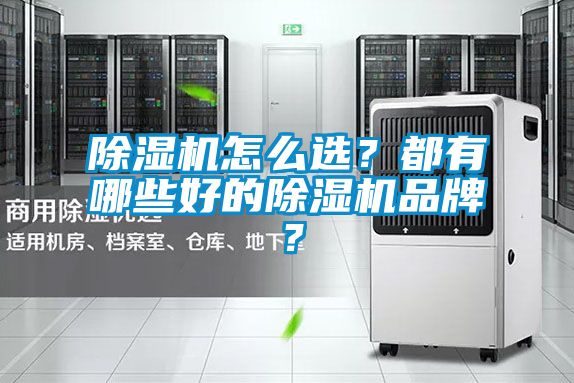 除濕機怎么選？都有哪些好的除濕機品牌？