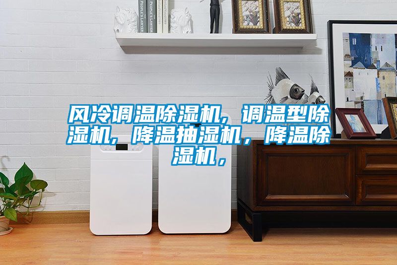 風冷調溫除濕機, 調溫型除濕機, 降溫抽濕機，降溫除濕機，