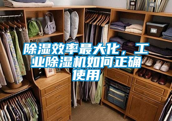 除濕效率最大化，工業除濕機如何正確使用