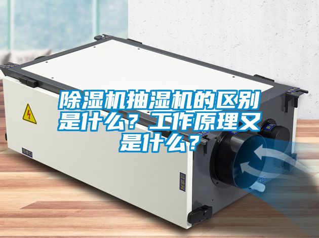除濕機抽濕機的區別是什么？工作原理又是什么？