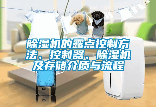 除濕機的露點控制方法、控制器、除濕機及存儲介質與流程