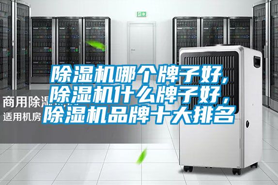 除濕機哪個牌子好,除濕機什么牌子好，除濕機品牌十大排名