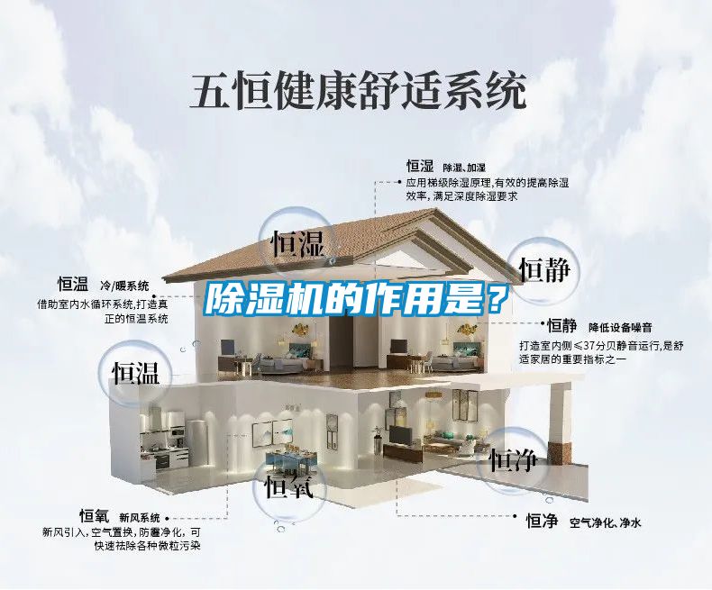除濕機的作用是？