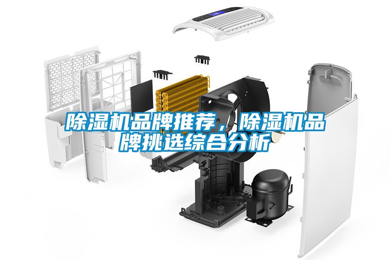 除濕機品牌推薦，除濕機品牌挑選綜合分析