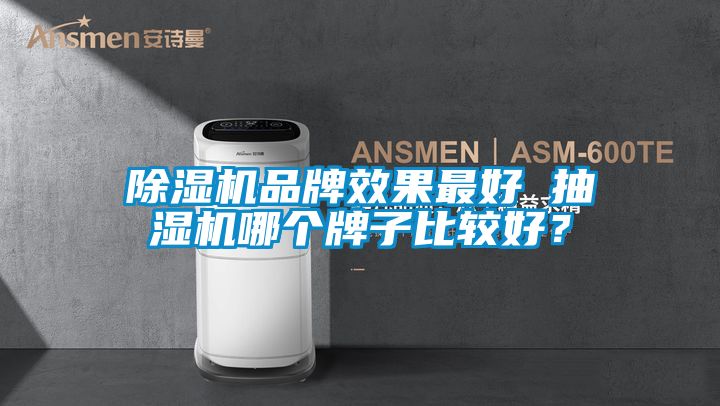 除濕機品牌效果最好 抽濕機哪個牌子比較好？