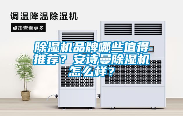 除濕機品牌哪些值得推薦？安詩曼除濕機怎么樣？