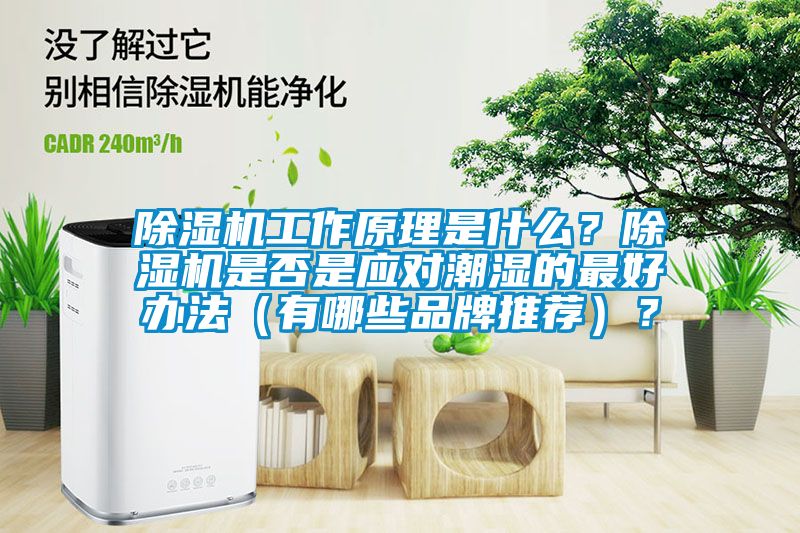 除濕機工作原理是什么？除濕機是否是應對潮濕的最好辦法（有哪些品牌推薦）？
