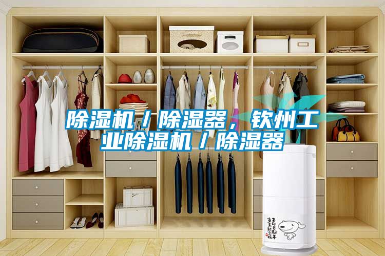 除濕機／除濕器，欽州工業除濕機／除濕器