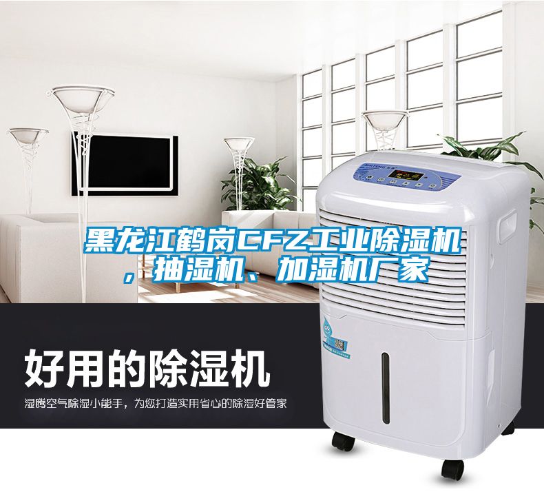 黑龍江鶴崗CFZ工業除濕機，抽濕機、加濕機廠家