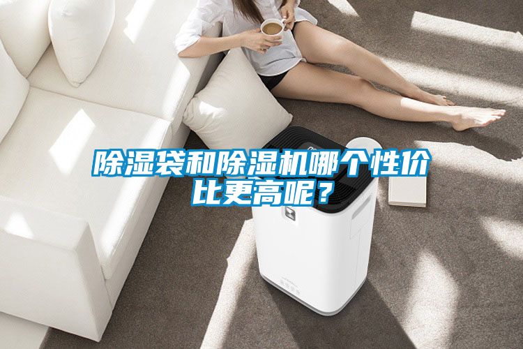 除濕袋和除濕機哪個性價比更高呢？
