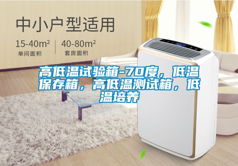 高低溫試驗箱-70度，低溫保存箱，高低溫測試箱，低溫培養