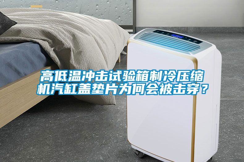 高低溫沖擊試驗箱制冷壓縮機汽缸蓋墊片為何會被擊穿？