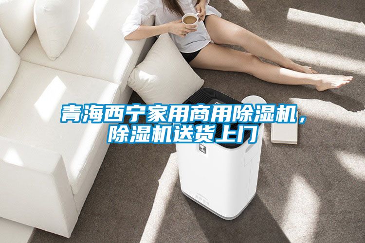 青海西寧家用商用除濕機，除濕機送貨上門