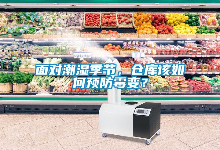 面對潮濕季節，倉庫該如何預防霉變？