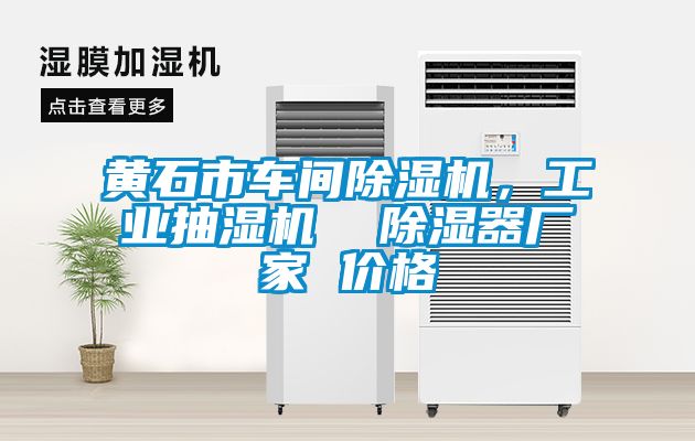 黃石市車間除濕機，工業抽濕機  除濕器廠家 價格