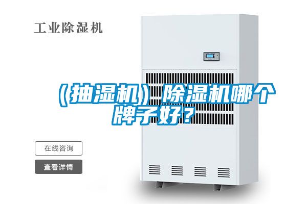 （抽濕機）除濕機哪個牌子好？