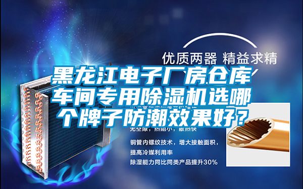 黑龍江電子廠房倉庫車間專用除濕機選哪個牌子防潮效果好？