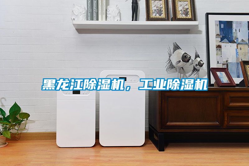 黑龍江除濕機，工業除濕機