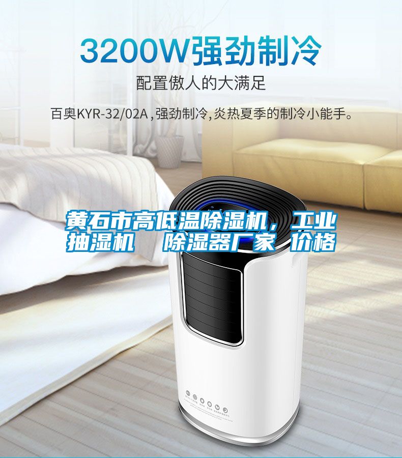 黃石市高低溫除濕機，工業抽濕機  除濕器廠家 價格
