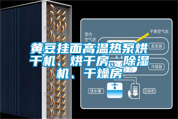 黃豆掛面高溫熱泵烘干機、烘干房、除濕機、干燥房