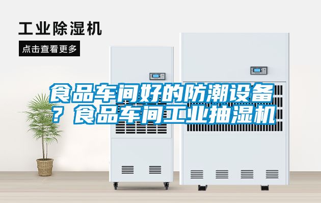 食品車間好的防潮設備？食品車間工業抽濕機