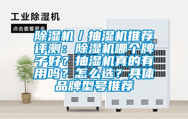 除濕機／抽濕機推薦評測：除濕機哪個牌子好？抽濕機真的有用嗎？怎么選？具體品牌型號推薦