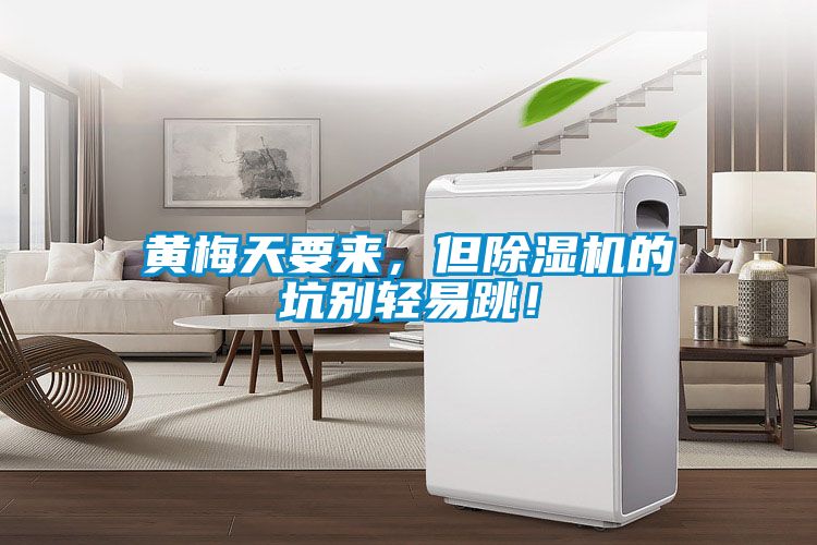 黃梅天要來，但除濕機的坑別輕易跳！