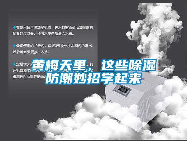 黃梅天里，這些除濕防潮妙招學起來