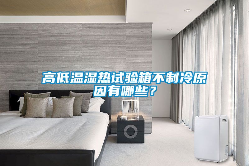 高低溫濕熱試驗箱不制冷原因有哪些？