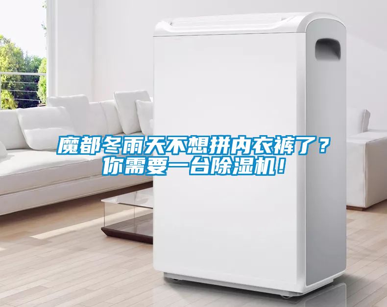 魔都冬雨天不想拼內衣褲了？你需要一臺除濕機！