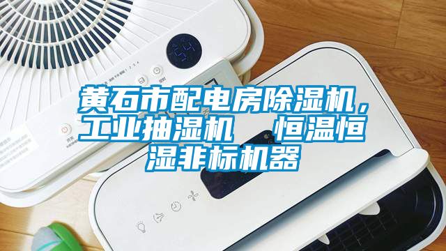 黃石市配電房除濕機，工業抽濕機  恒溫恒濕非標機器